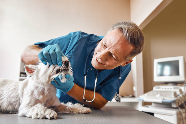 Best 24-Hour Emergency Dentist in Hapeville, GA